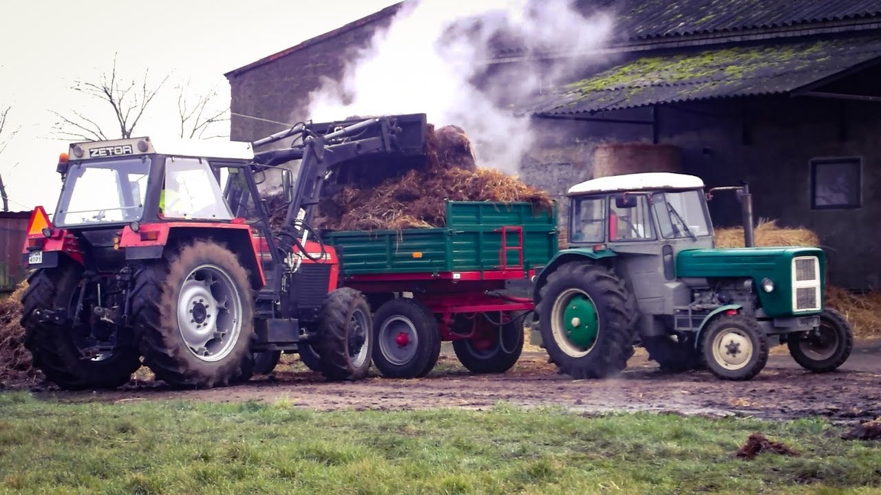 WYWÓZ OBORNIKA 2019?!CZYLI ZETOR 8145 & URSUS C-355 W AKCJI