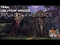 Oblivion woods  aylads ambience