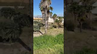 Playas Abandonadas de Zaragoza Próximamente exploración completa en el canal. #apocalipse