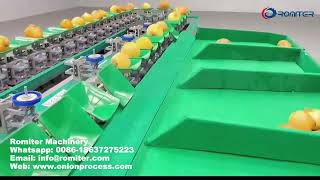 Onion Weight Grading Machin-How to Grade Onion by Different Weight