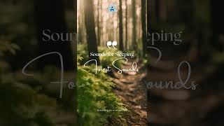 Sounds for Sleeping: Forest Sounds