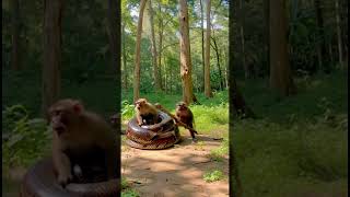 Amazing Monkey Saves Friend from Giant Python Attack 🐍🐒 #amazing Wealth
