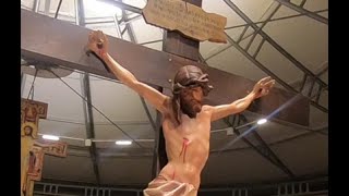 Medjugorje, Mladifest . This is my best moment of this years festival and in my life.
Medjugorje, Mladifest 2025. This is my best moment of this years festival and in my life. Thank you, God, for this. When you see this video, youll know why..
Medjugorie, Mladifest 2025 tu jest mój najlepszy moment tegorocznego festiwalu i w moim życiu, dziękuję ci Boże za to. Jak zobaczysz to video to będziesz wiedział dlaczego. Medjugorje, Mladifest . This is my best moment of this years festival and in my life.