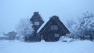 [Walking Japan] : 'Shirakawa go' in a blizzard  world heritage