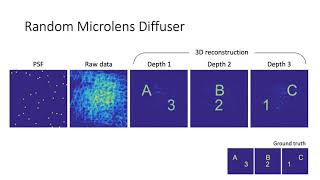 #9 On chip fluorescence microscopy with a random microlens diffuser (Poster)