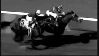 Top 100 U.S. Racehorses of the 20th Century - Part 2