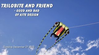 Trilobite & friend - good and bad of kite design screenshot 4