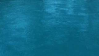 Raindrops Meditation - Yoga Therapy with Lisa Danahy