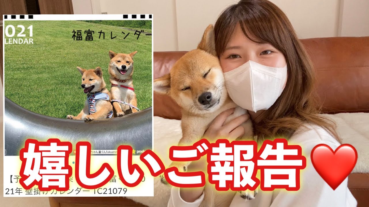 豆柴ちゃん hq720.jpg?sqp=-