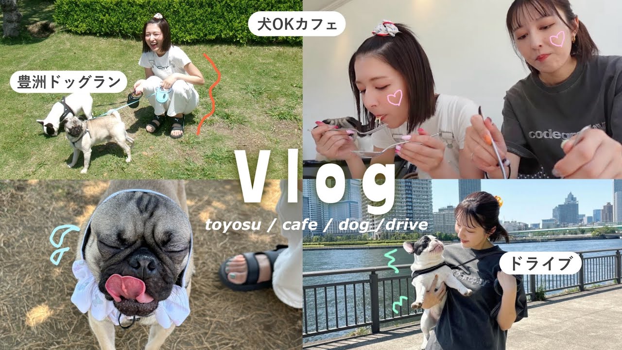 愛犬とお出かけ】双子で豊洲へドライブ🚗✨カフェもドッグランも楽し