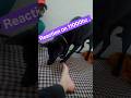 Another testing with Shanky#reaction #sound #11000 #dog #shorts #
