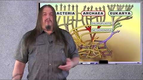 Systematic Classification of LIfe ep1 The Root of the tree