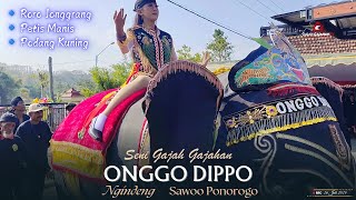 PENTAS KIRAB SENI GAJAH ONGGO DIPPO DS. NGINDENG BERSIH DESA 2024