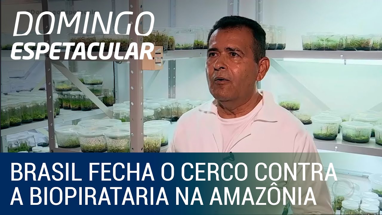Porque A Biopirataria Deve Ser Combatido Pelo Governo Brasileiro - RETOEDU