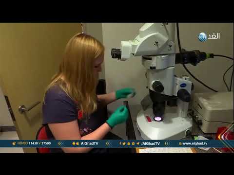 تقرير دراسة استخدام أصوات الطيور لعلاج حالات صعوبة النطق 