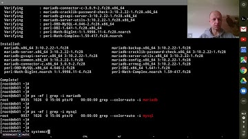 Install mariadb on a fedora server machine.