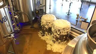 Open fermentation Time lapse Dec 31, 9 47 45 AM 1