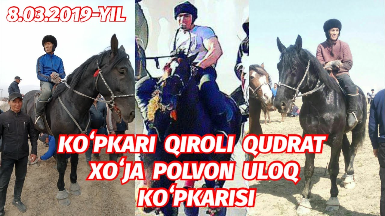 KOʻPKARI QIROLI QUDRAT XOʻJA POLVON ULOQ KOʻPKARISI 8.03.2019-YIL @JahongirTv1