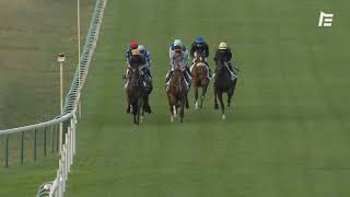 Vidéo de la course PMU PRIX DE LA CHAINE DES PUYS