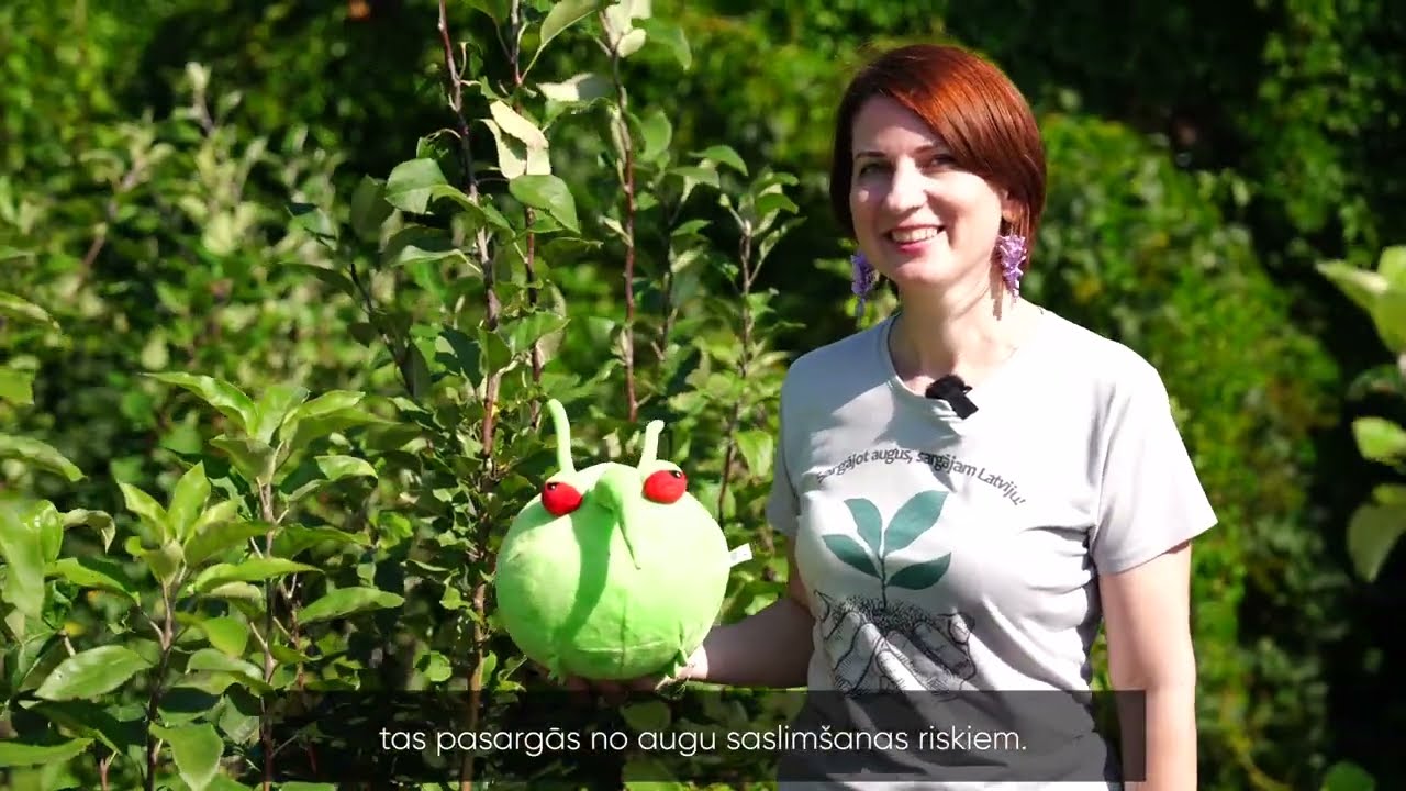 Svarīgi pārliecināties, ka stādi ko pērkam ir veseli un tos nav ietekmējuši kaitīgie organismi