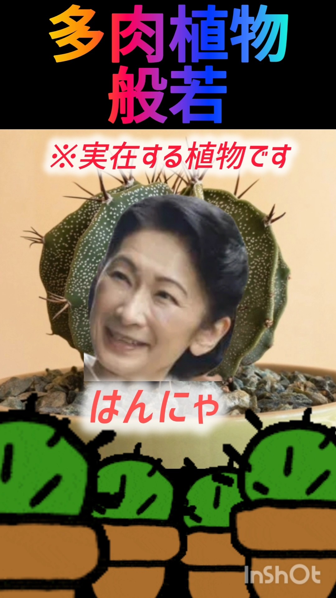 ⚠️取り扱い注意🌵 - YouTube