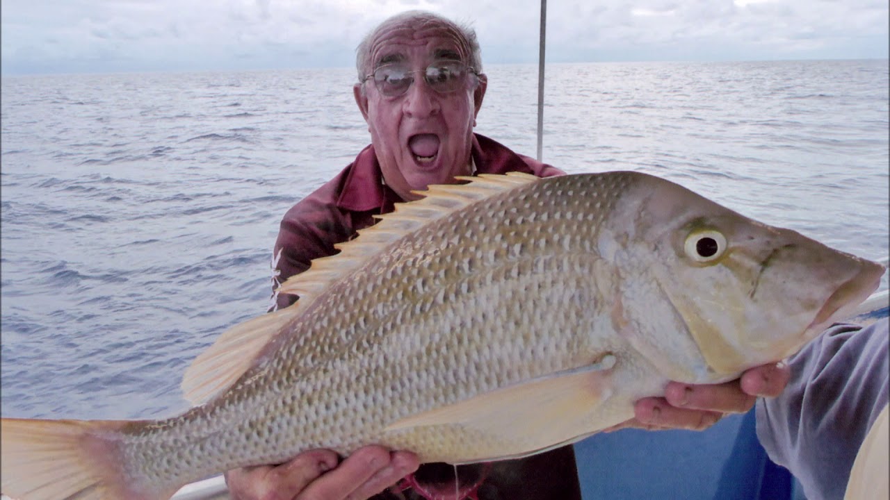 Bob England 2018 HD YouTube