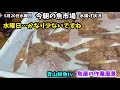【作業風景🐟】今朝の魚市場5月20日水曜日の水揚げ状況