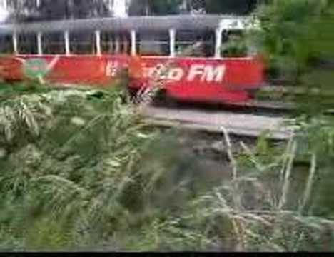 Video: Koja je vrsta drame tramvaj po imenu Želja?