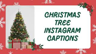 Christmas Tree Captions for Instagram