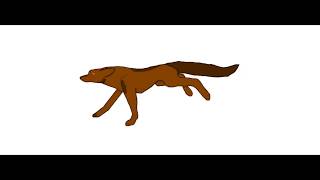 Fox Run Cycle Animation