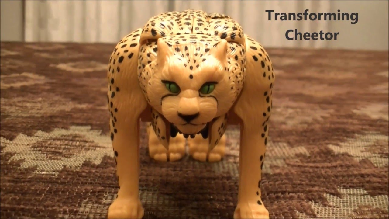 bumblebee cheetor
