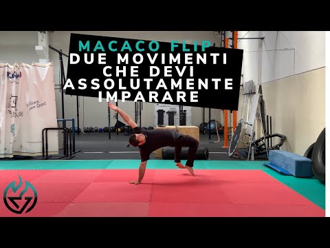 Macaco tutorial: Come fare il macaco / #motusacademy #acrobatica #tutorialmacaco