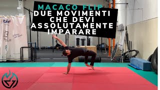 Macaco tutorial: Come fare il macaco / #motusacademy #acrobatica #tutorialmacaco Profile