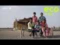 Eco India: How the use of solar pumps is brightening the lives of Kutch's salt farmers