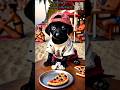 Poor puppy didn't have money to eat pizza so his friends