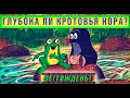 Капитулировать готовы - 10 условий Банковой. Последние "шутки" Зеленского.