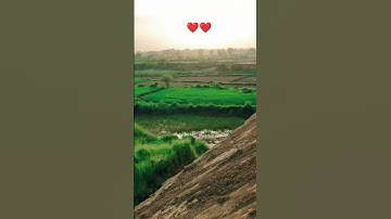 Al-Buruj (سورة البروج) - Egzon Ibrahimi #egzonibrahimi #سورة_البروج #quranwala@ShadabKhan073