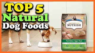 Top 5 Best Natural Dog Foods of 2025