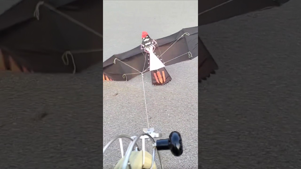 Layangan Battle – Who Can Fly Higher? ⬆️