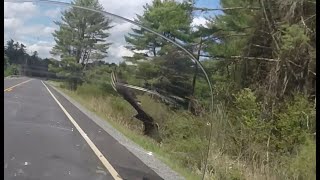 Almost hit a turkey vulture
