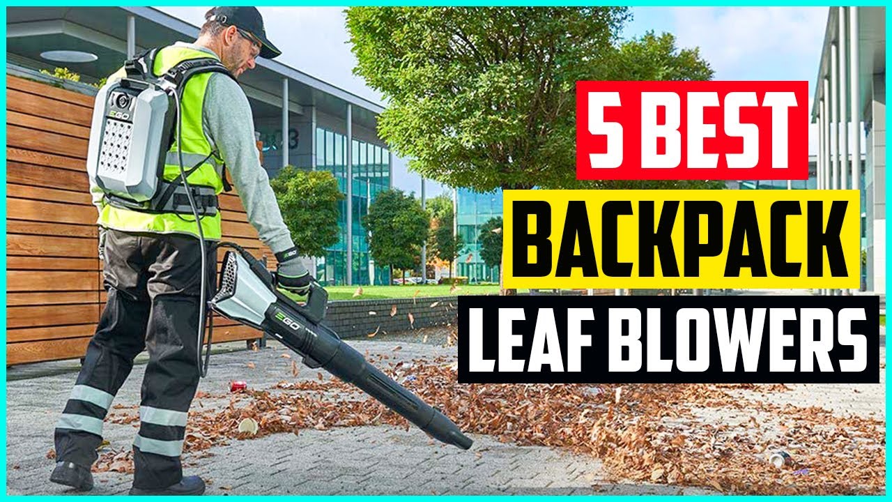 The 5 Best Backpack Leaf Blowers In 2021 YouTube