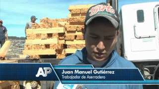 Cae productividad maderera en la comunidad de Llano Grande