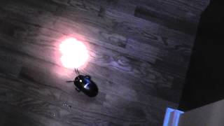 mousebotmoving.MTS