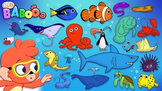 Animal ABC | learn the alphabet with 26 cartoon Ocean Animals | ABCD sea animals kids education