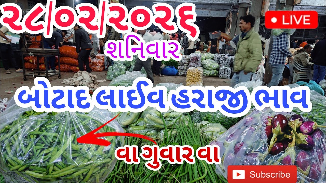 ૨૮/૦૨/૨૦૨૬ ના લાઈવ હરાજી ભાવ | બોટાદ માર્કેટિંગ યાર્ડ | #ગુજરાતી #botad #rajkot #બોટાડમાર્કેટિંગ