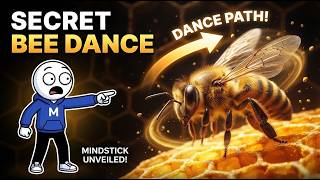 Scientists Finally Decoded the Secret Bee Dance