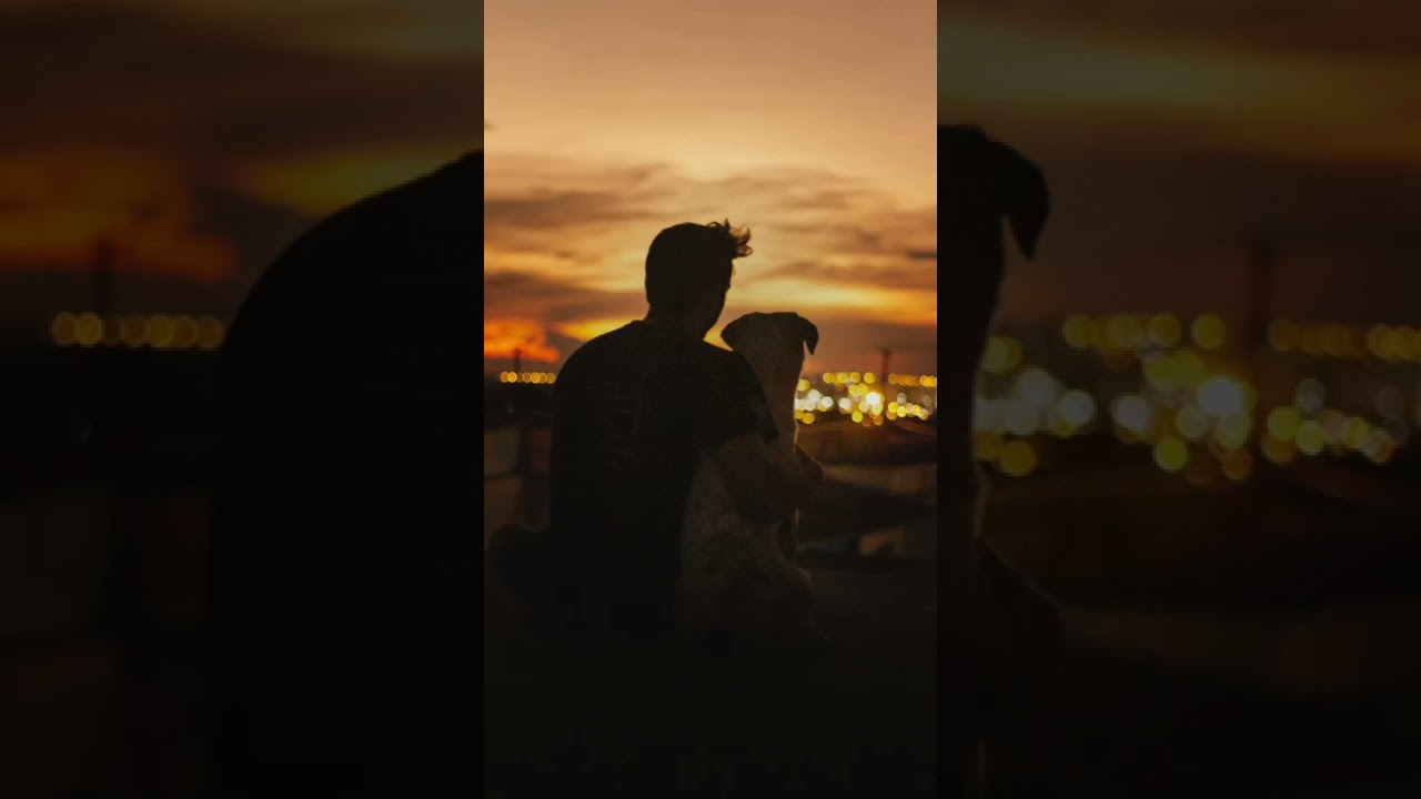 Elektronomia & JJD - Free | NCS 