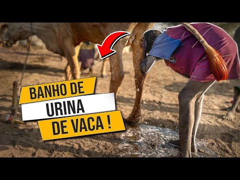 Vídeo: Komi é o povo do Norte. Tradições, cultura, costumes