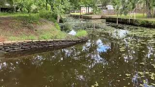 109 Retreat Ln, Palatka, FL  32177