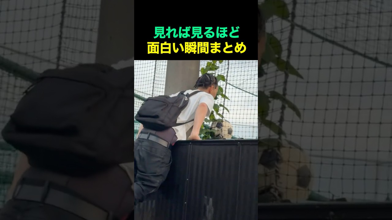 見れば見るほど面白い瞬間まとめ🤣 #fun #funny #funnyvideos